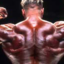 Jay Cutler