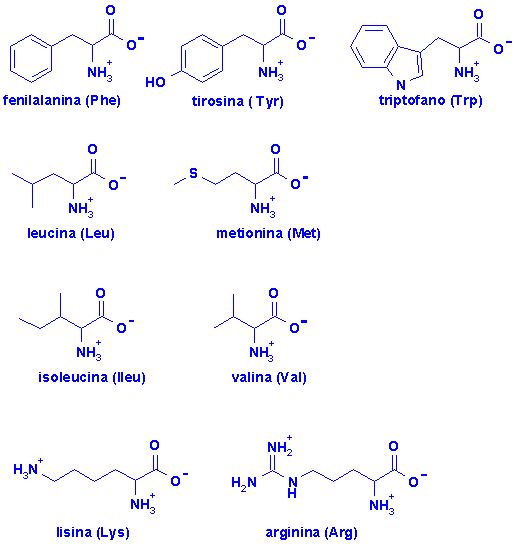 I 9 aminoacidi 